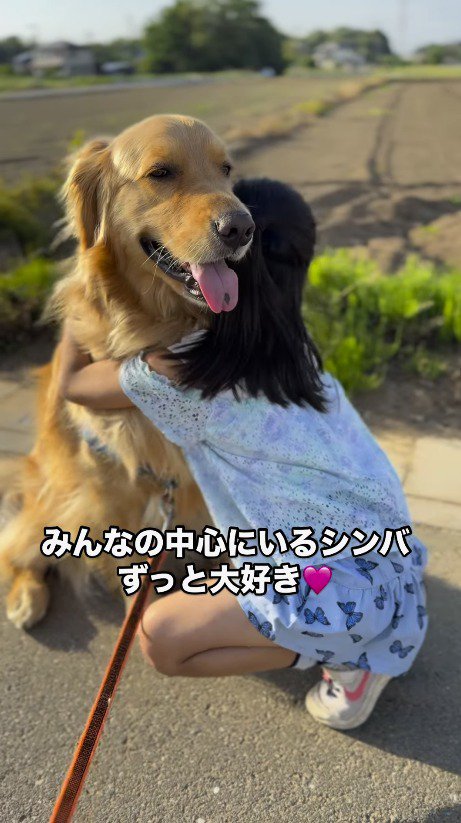 女の子に抱きしめられる犬
