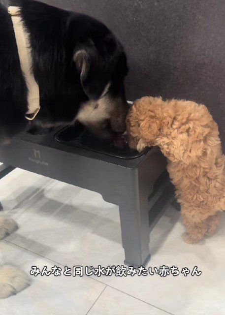 これからもスクスク育ってね♡