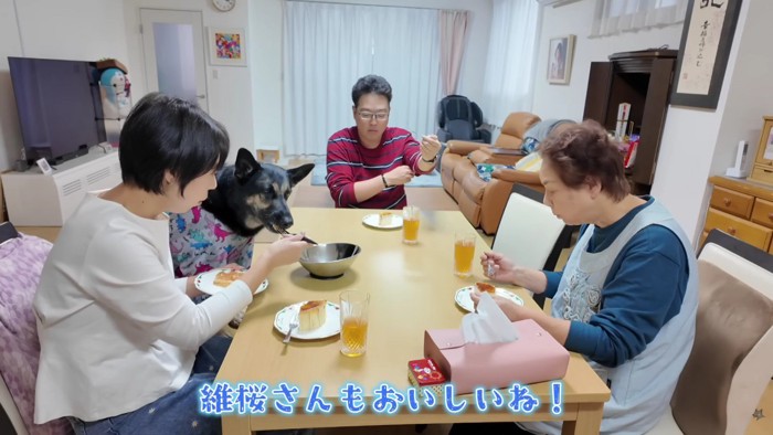 幸せな家族団らん