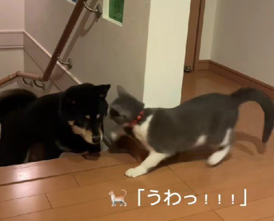 豪快なパンチ！！