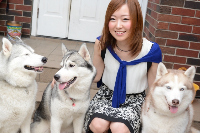 女性とハスキー3頭 玄関先