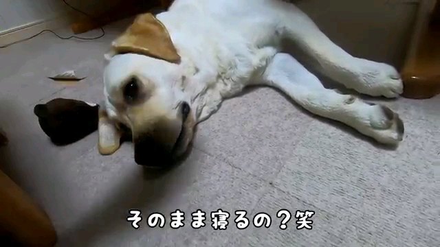 そのまま～字幕