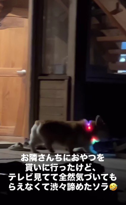 「今日はダメか…」