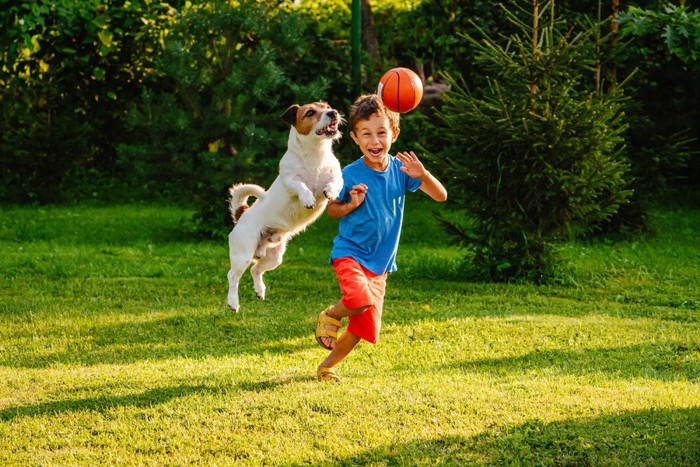 一緒に遊ぶ少年と犬