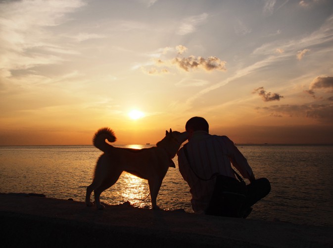 顔を寄せ合う飼い主と犬のシルエット