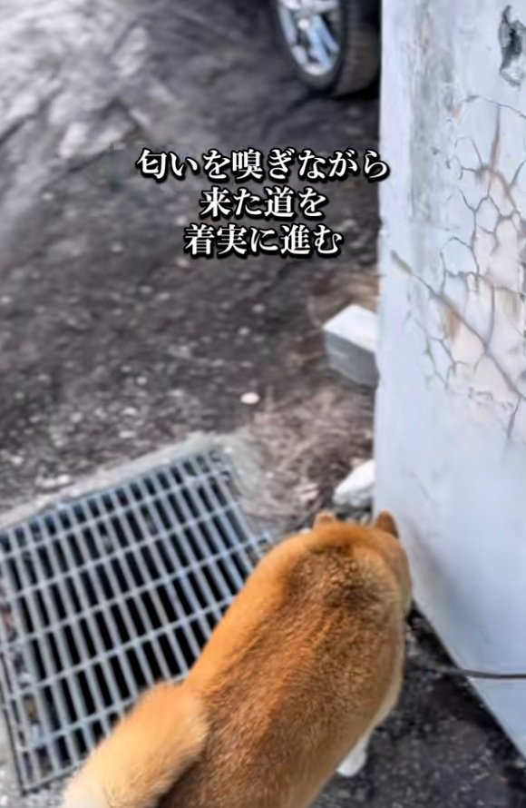 来た道を戻る朔くん