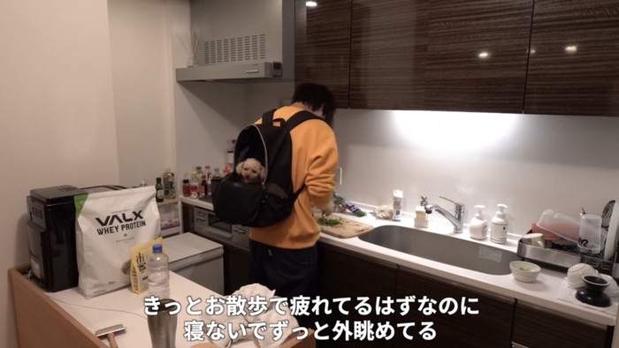 赤ちゃんのようなモコちゃん