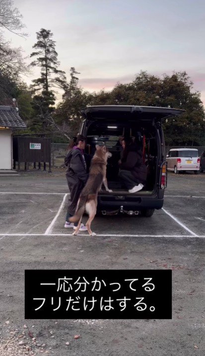 「やるべきことはわかってる」