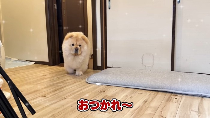 ピカピカになったよ！！