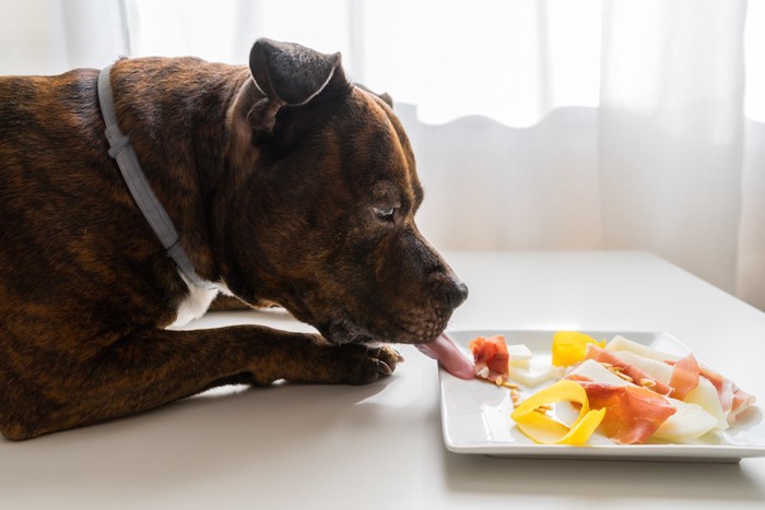 生ハムを食べようとする犬