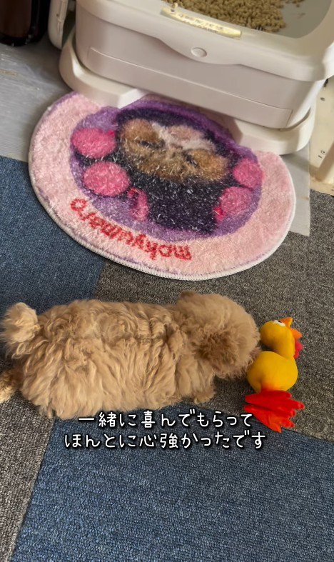 みらいちゃんが元気になるまで7