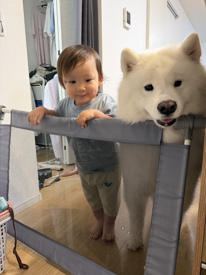 失敗