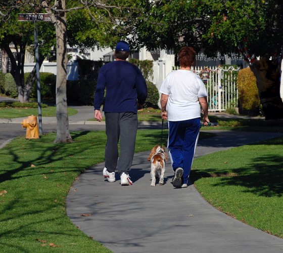 犬とウォーキングする夫婦