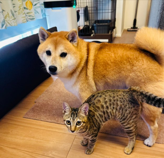 仲良し