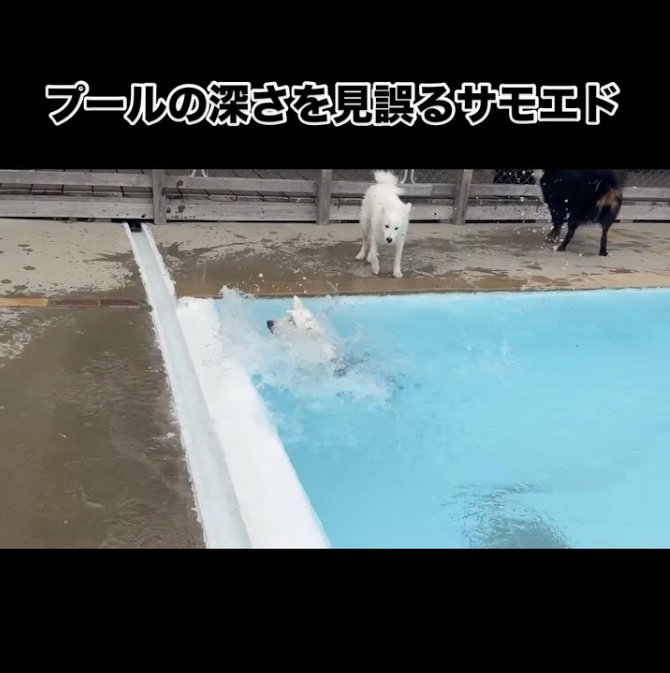 「もうちょい！！」