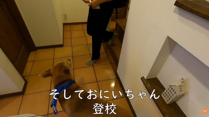 制服姿のお兄ちゃんが来たら…