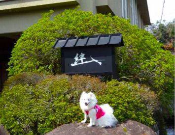 絆の看板前の犬