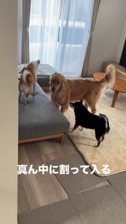 「とりあえず落ち着いて」