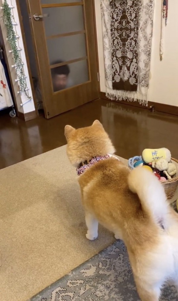 「お父さん…？」