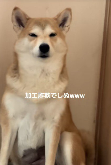 本当に同じ子?