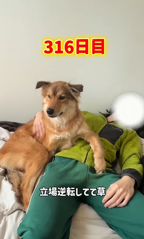 どちらが飼い主かわからない…!