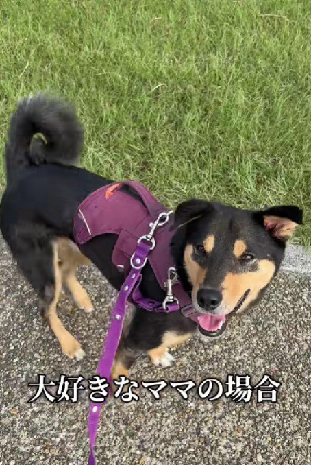 生粋のママっ子