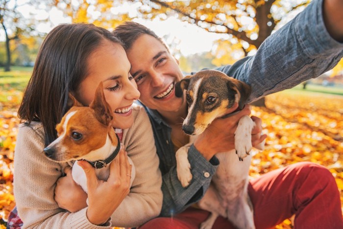 男女カップルと犬二匹