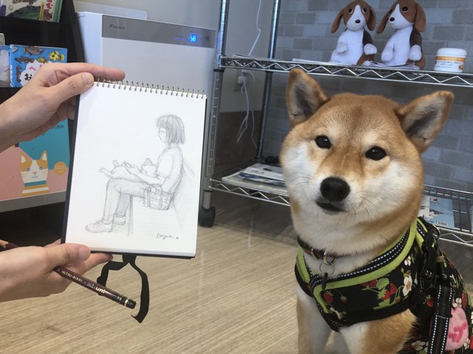 絵を