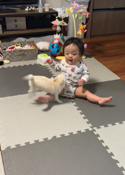 じゃれあっていたら…