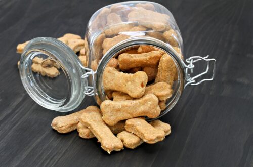 犬のおやつクッキー