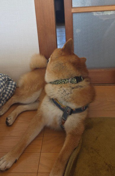 隙間からチェック