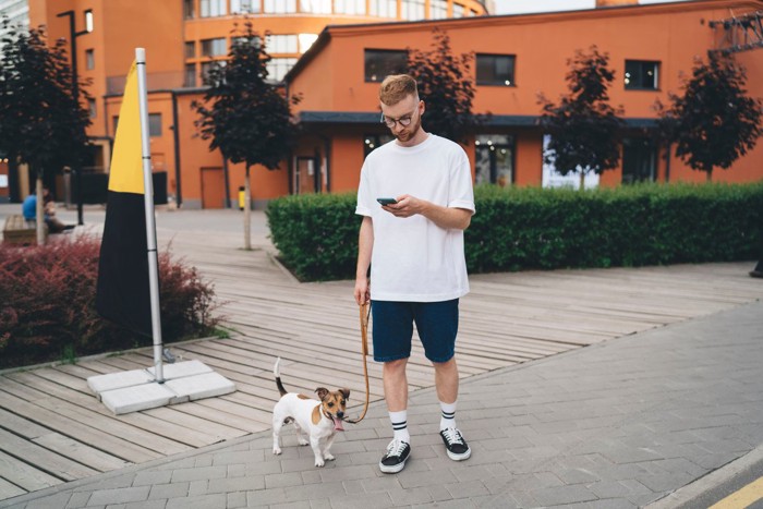スマートフォンを見る男性と犬