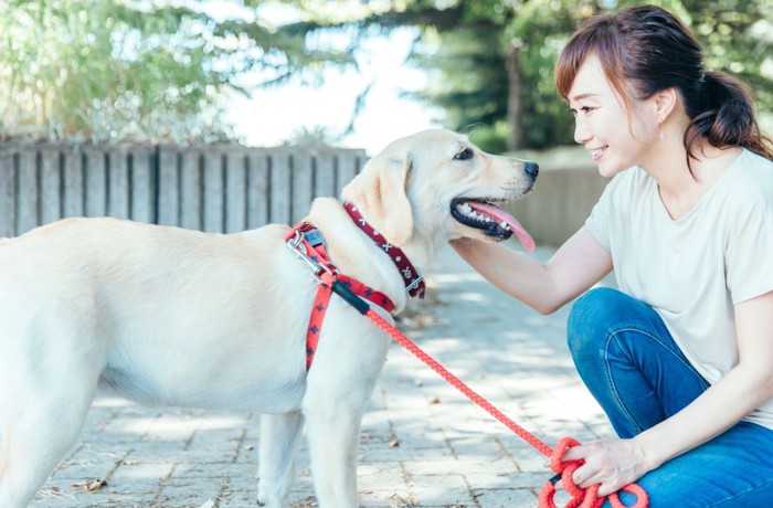 犬の散歩をする女性