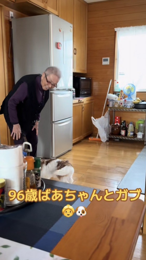 おばあちゃんの足元で尻尾を振る犬