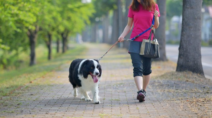 愛犬と散歩する女性