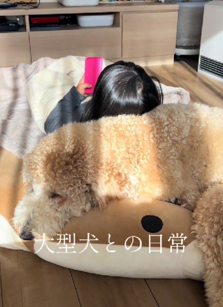 気持ちいい枕代わり