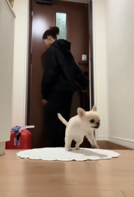 もこちゃん！！