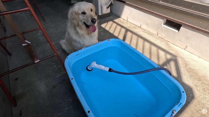 水がたまるまで待機