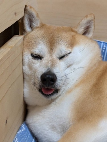 同一