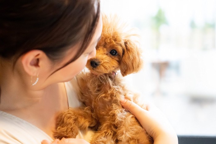 女性に抱っこされる犬