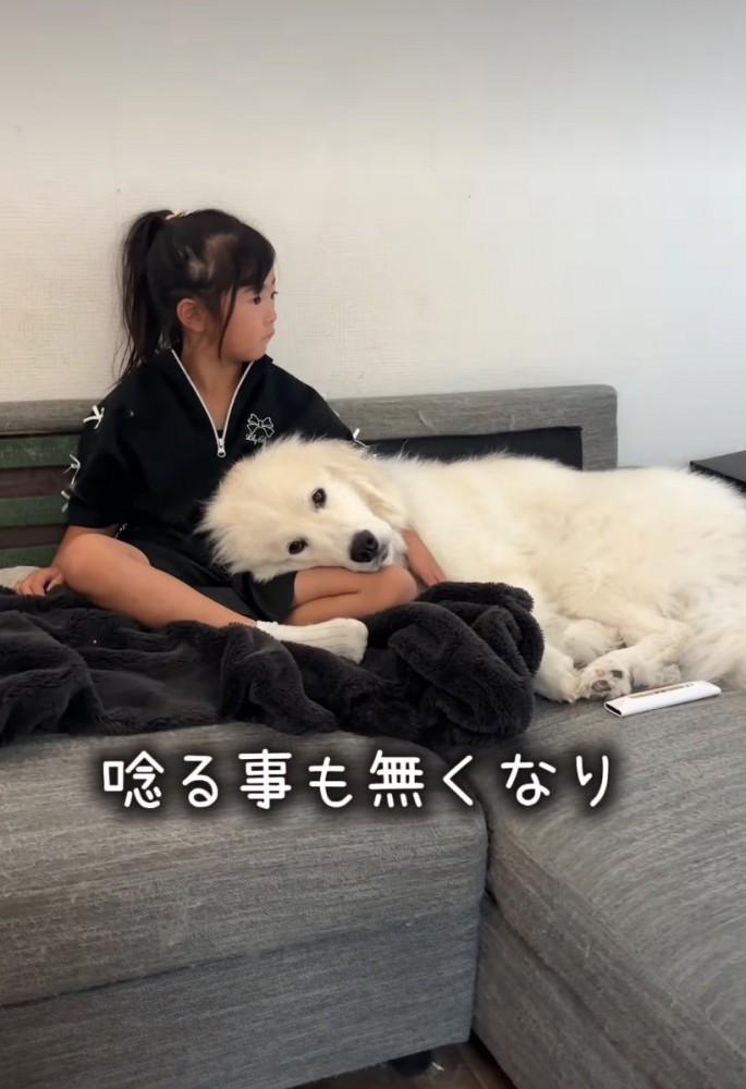 膝枕してもらう犬2