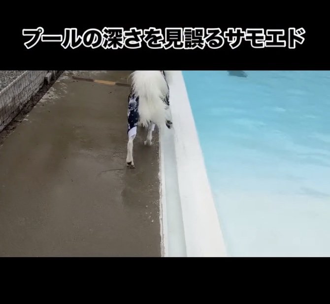 飛び込む場所を考え中