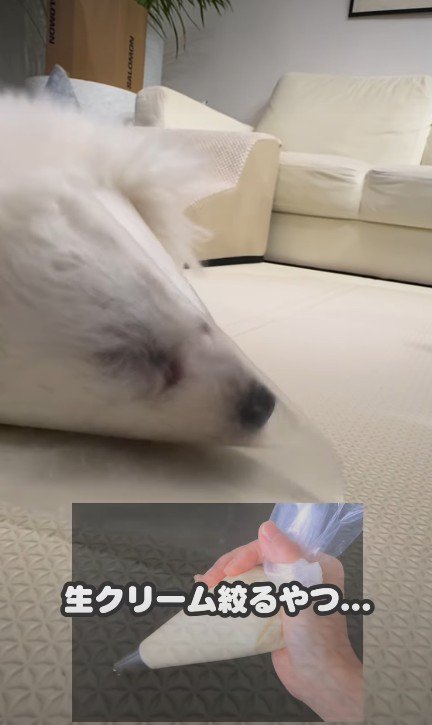 生クリーム絞るやつ…!!