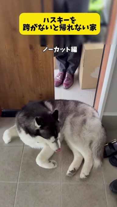 また来てね♪