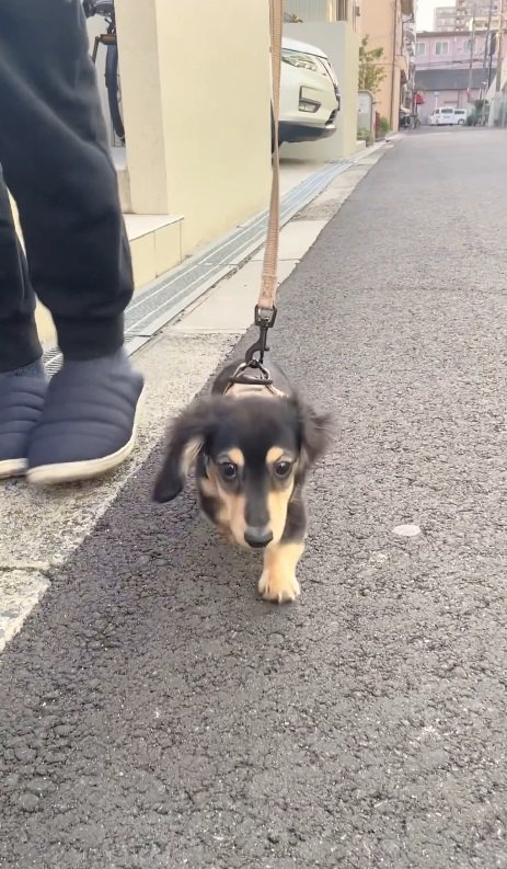 表情も和らいできた様子♡