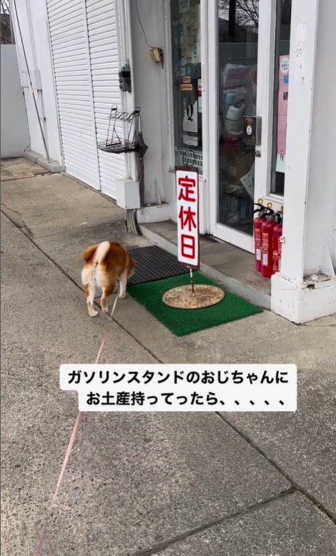 ガソリンスタンドを訪れたハナちゃん8