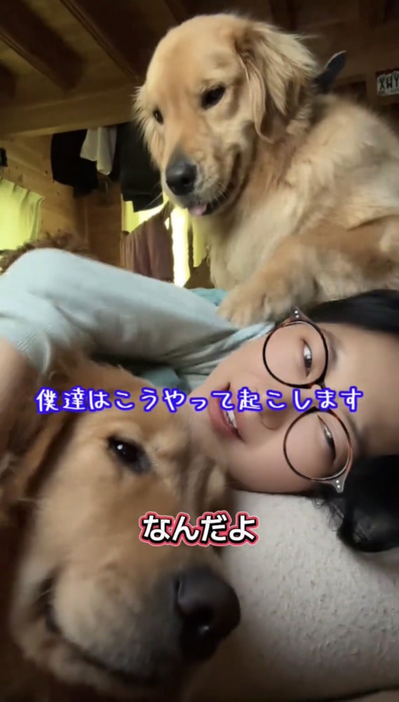 女性に寄り添う2匹の犬