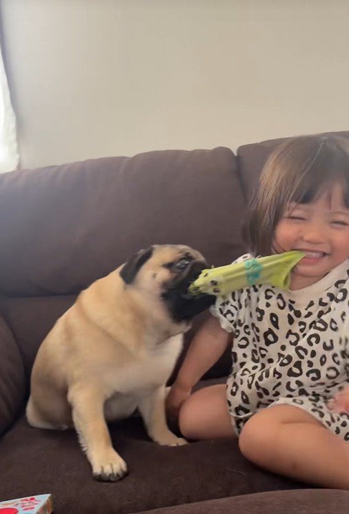 まるで犬同士!?