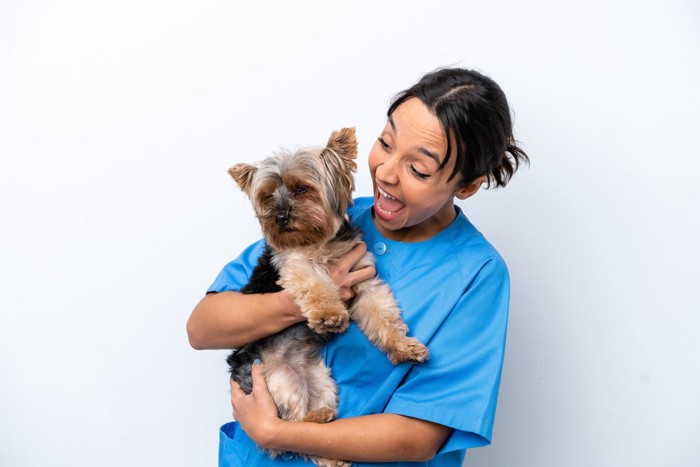 犬の耳元でさけぶ女性