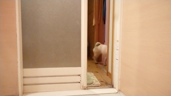 出て行ってしまいました…